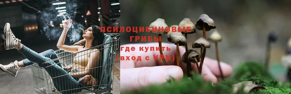 прущий лед Алексеевка