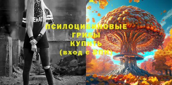 не бодяженный Алзамай