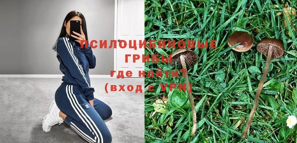 не бодяженный Алзамай